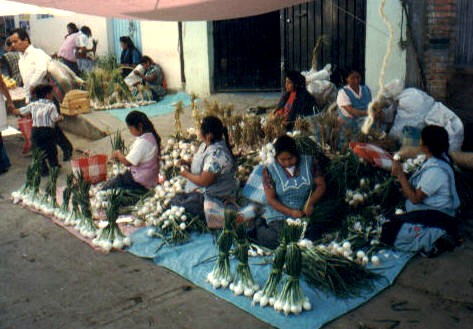 markt van Tlacolula
